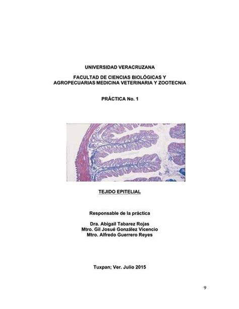 Práctica De Histología Tejido Epitelial Medicina Y Farmacia Udocz