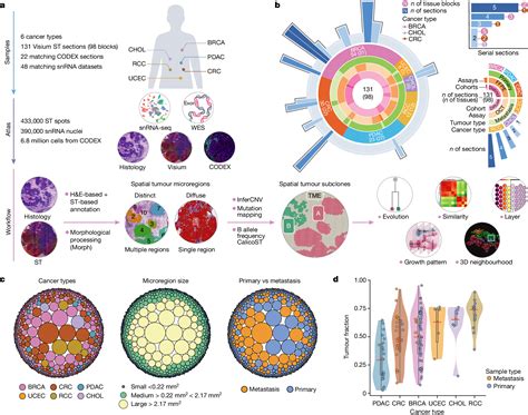 Servicio De Apoyo Técnico A La Docencia Y A La Investigación Presentan El Atlas Del Cáncer Más