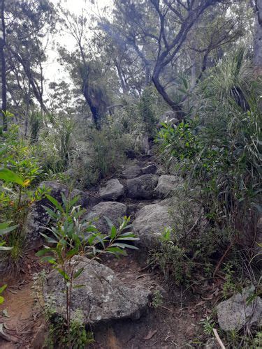 2023 Best Backpacking Trails In Mount Barney National Park AllTrails