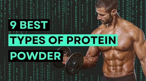 Most Popular Forms Of Protein Powder Creatine Powders