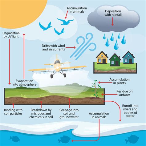 Pesticides In The Environment Download Scientific Diagram