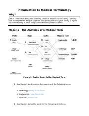 Medical Terminology Homework Docx Introduction To Medical Terminology