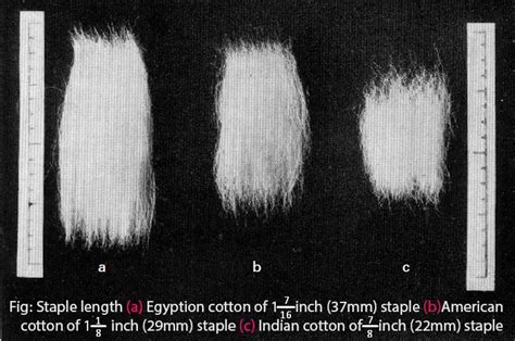 Length Parameters Of Cotton Fibers Textile Study Center