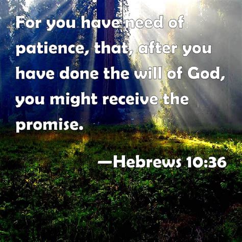 Hebrews For You Have Need Of Patience That After You Have Done