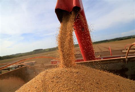 Russa Acron Vai Comprar F Brica De Fertilizantes Nitrogenados Da