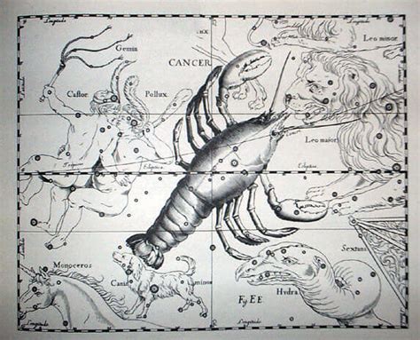 巨蟹座 星座日期：6月21日 ~ 7月22日 占星之門