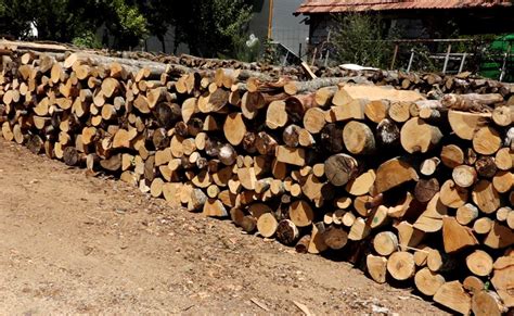 Paralajmërime për dimër të gjatë dhe të ftohtë A janë përgatitur