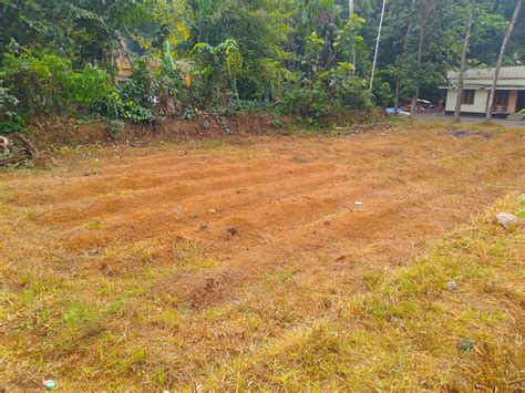 Cent Residential Land For Sale Near Perumbavoor Kerala Buy Sell