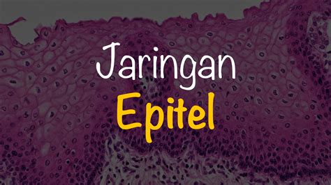 Epitel Adalah Penyakit Homecare24