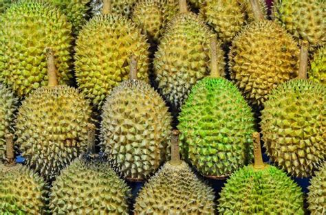 FREE Flow Durian 1 Day Tour Batam Indonesia Food Drinks Local Eats