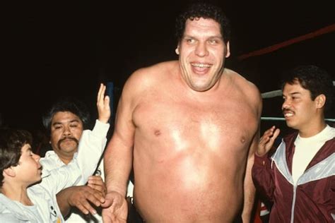 Wwe Hulk Hogan Remembers Andre The Giant On His Death Anniversary