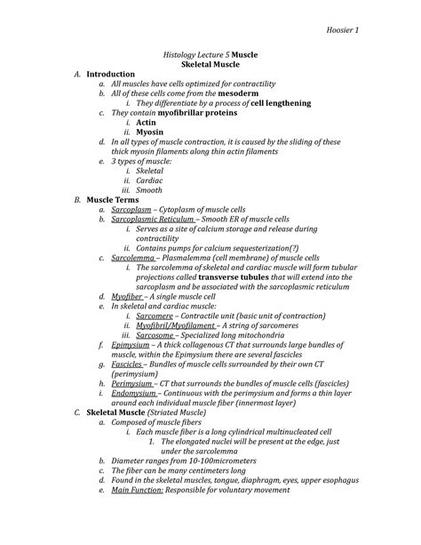 Ch 5 Muscles Skeletal Histology Lecture 5 Muscle Skeletal Muscle A