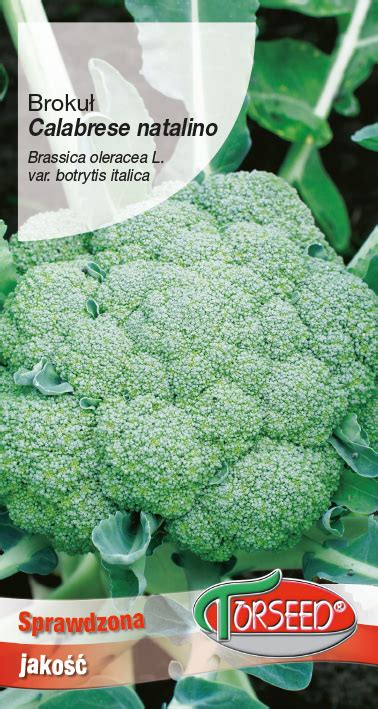 Broccoli Calabrese Natalino Torseed