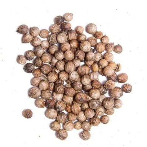 Dried Brown A Grade Coriander Seed For Cooking At Rs 115 Kg In Neemuch