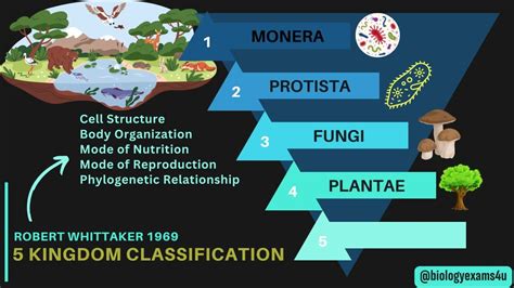 Five Kingdom Classification Monera