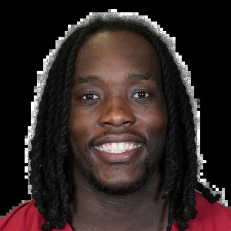 Darius Robinson Arizona Cardinals DI NFL And PFF Stats