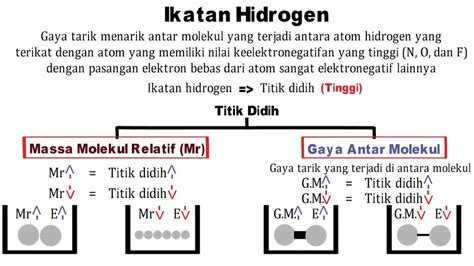 Xi2b Hubungan Ikatan Hidrogen Dengan Titik Didih Teori Youtube