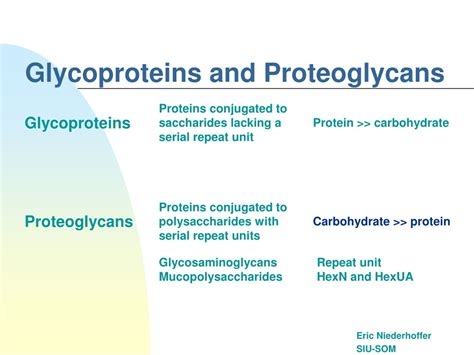 Ppt Glycoproteins And Proteoglycans Powerpoint Presentation Free