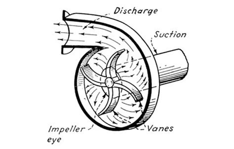 9 Types of Water Pumps & Their Uses