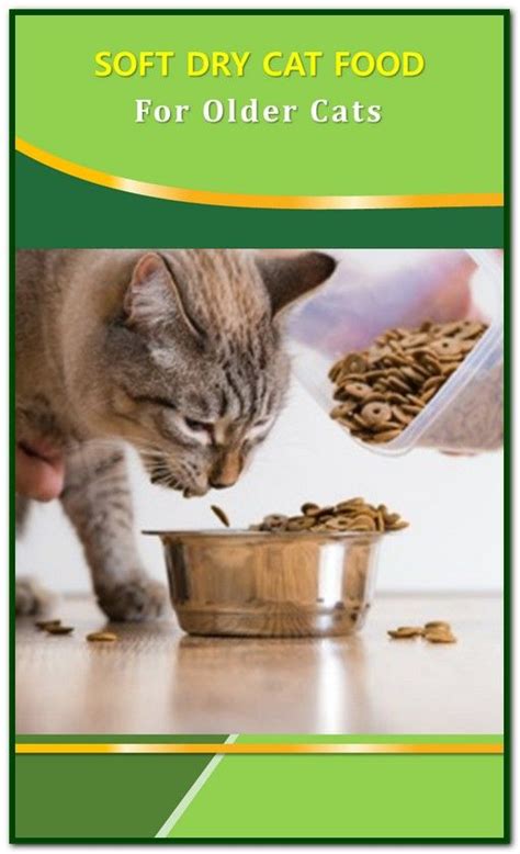 Cat Food For Older Cats - PetsWall