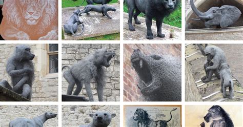 Janes London The Royal Menagerie Animals At The Tower Of London