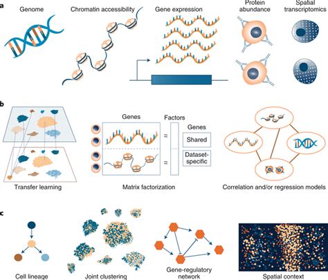 Computational Methods For Single Cell Omics Across Modalitiesnature Methods X Mol