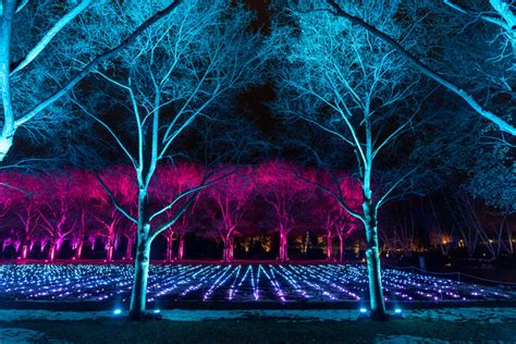 Lightscape Kicks Off Friday At Chicago Botanic Garden - CBS Chicago