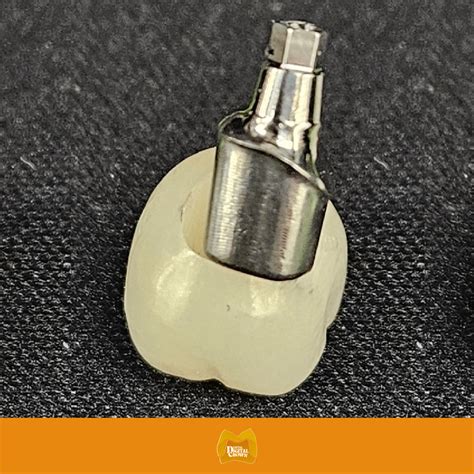 ZIRCONIA IMPLANT CROWN CUSTOM ABUTMENT Dental Digital Crown