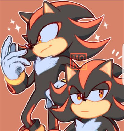 Ships De Sonic Shadow The Hedgehog Hedgehog Hedgehog Art