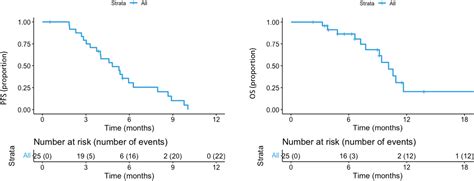 Encorafenib Plus Cetuximab Treatment In Braf V E Mutated Metastatic