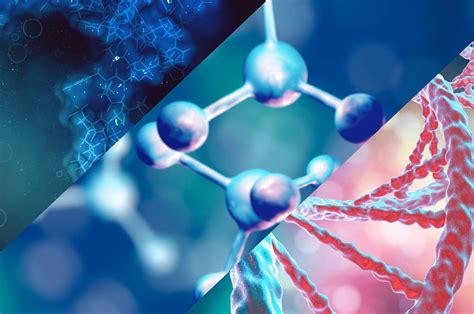 Why Small Molecule Biomarker Discovery? Comparison of Biomarker Types - Sapient | Accelerating ...