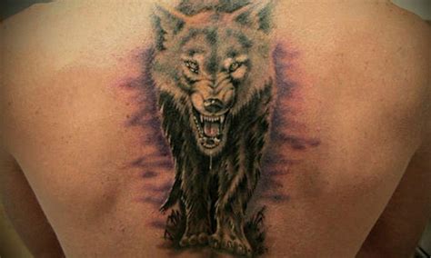 Tatuagem De Lobo Um Significado Incorporado Em Nossa Pele Tatuagens Hd