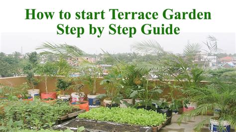 How To Start Terrace Garden Step By Step Guide E Thottam