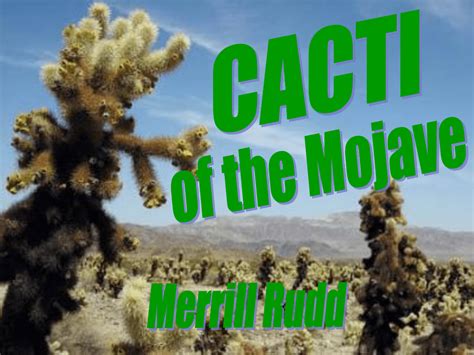 Cacti of the Mojave Desert - Earth and Planetary Remote Sensing