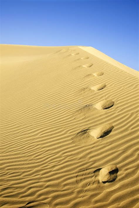 Desert Footprints stock photo. Image of dune, heat, scenery - 2623466