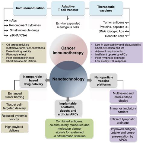 Figure 1 From Emerging Nanotechnologies For Cancer Immunotherapy