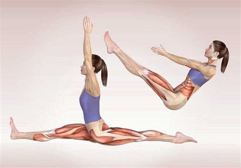 Yoga Poses Anatomyexercises 3d Illustrations