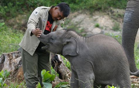 Foto Taman Margasatwa Ragunantaman Margasatwa Ragunan