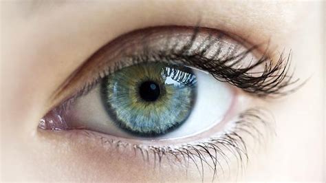 art  eyeball harvesting youth class culture steven threadgold