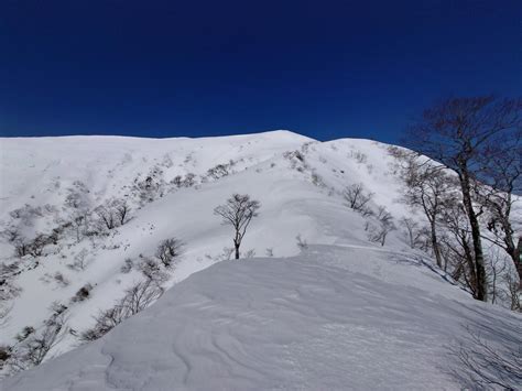 能郷白山 残雪期登山🧗 ヤスイケさんの能郷白山の活動日記 Yamap ヤマップ