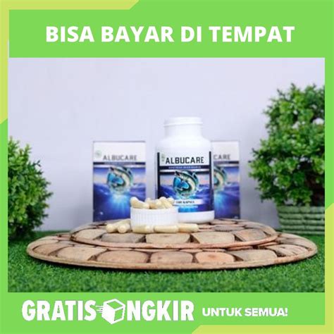 Jual Herbal Ekstrak Ikan Gabus Alami Herbal Albucare Legalitas