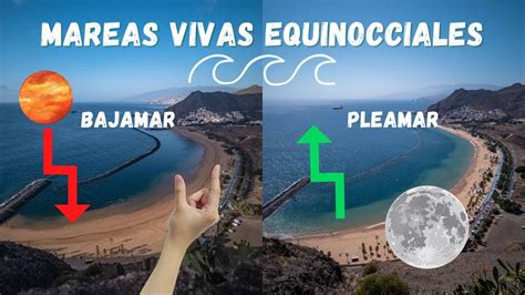 QUÉ SON LAS MAREAS VIVAS CÓMO ES LA MAREA VIVA EQUINOCCIAL EN