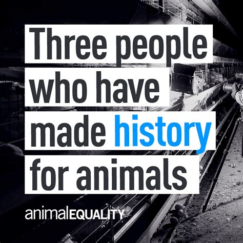 Three Incredible People Helping Animals Animal Equality Uk