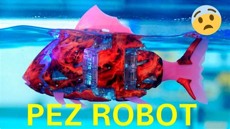 Esto Paso Cuando Meti Un Pez Robot En Un Acuario Con Peces Reales