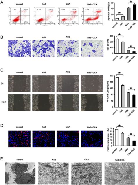 Nab And Oxa Can Synergistically Inhibit The Invasion And Metastasis Of