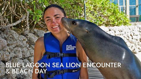 Blue Lagoon Sea Lion Encounter Bahamas