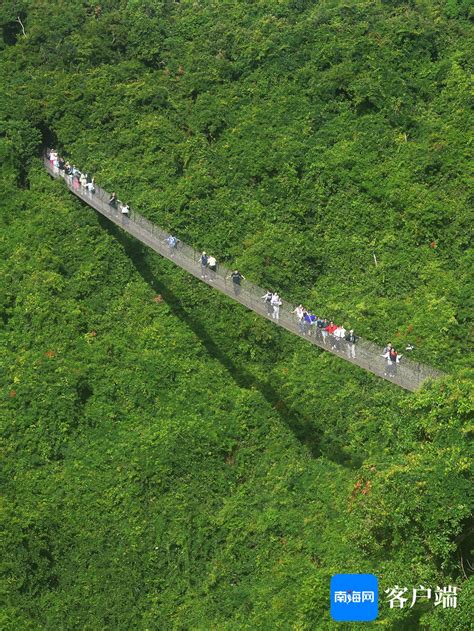 组图三亚冬季旅游升温 游人乐享冬日暖阳 新闻中心 南海网