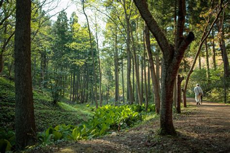 五智公園 【公式】上越観光navi 歴史と自然に出会うまち、新潟県上越市公式観光情報サイト