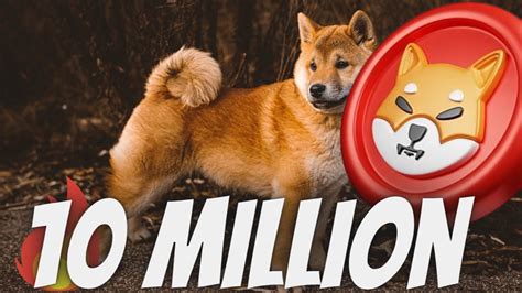 If Shiba Inu Hits Cent Here S How Many Tokens You Need For Million