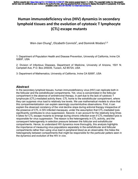 Pdf Human Immunodeficiency Virus Hiv Dynamics In Secondary Lymphoid